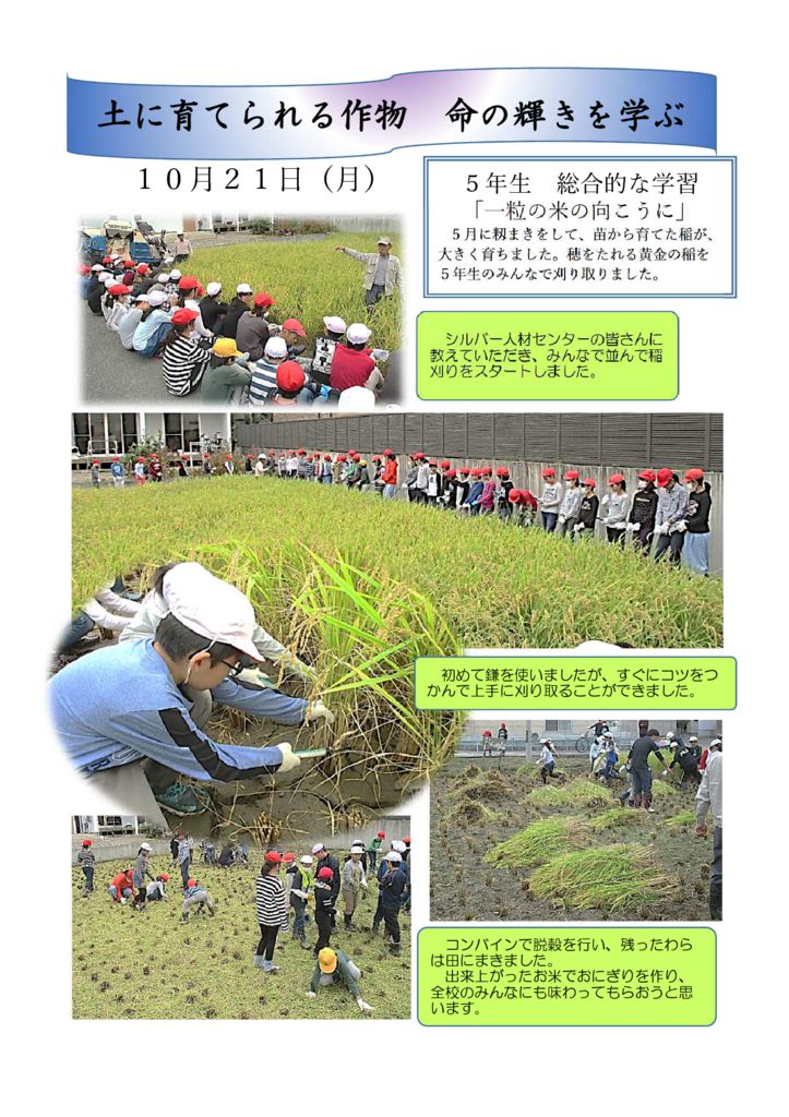 １０．２１　５年生稲刈りのサムネイル
