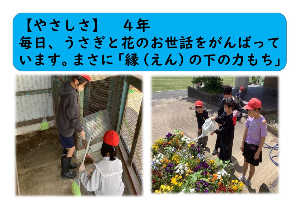 ５月４年１（やさしく）花・うさぎの世話のサムネイル