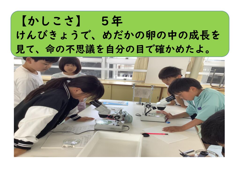 ５月５年１（かしこさ）メダカの卵のサムネイル