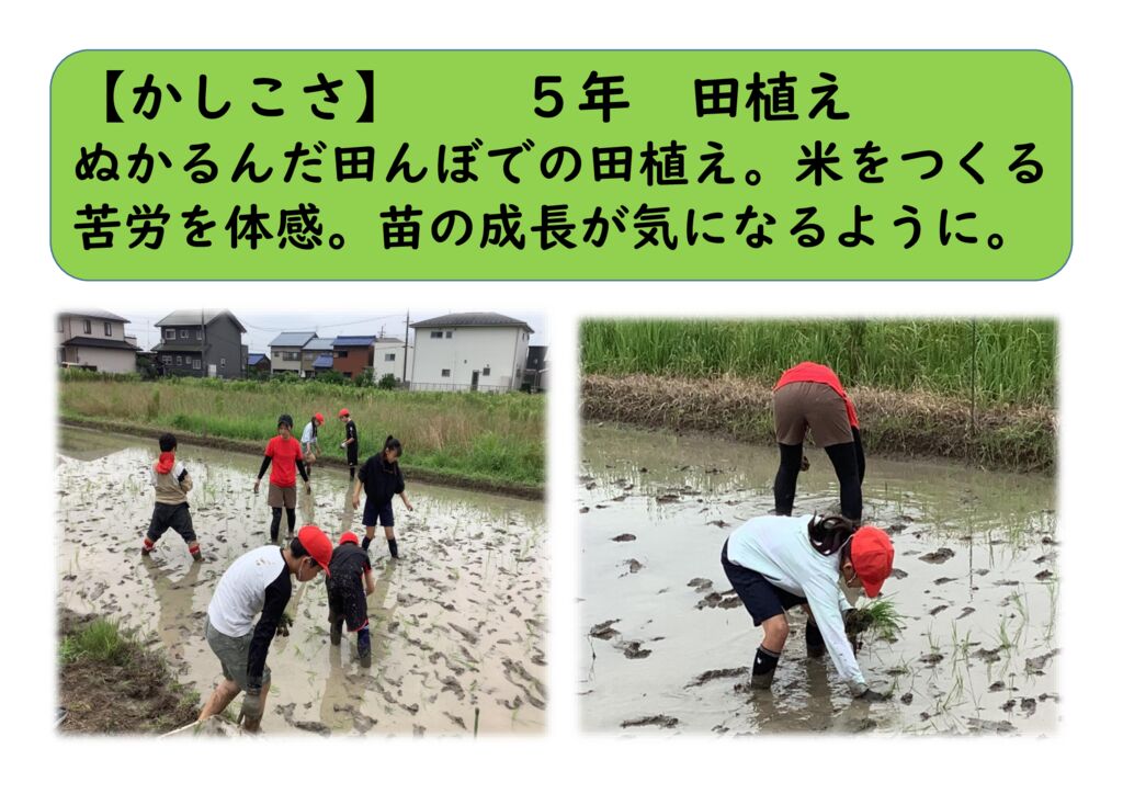 ７月５年７（かしこさ）田植えのサムネイル