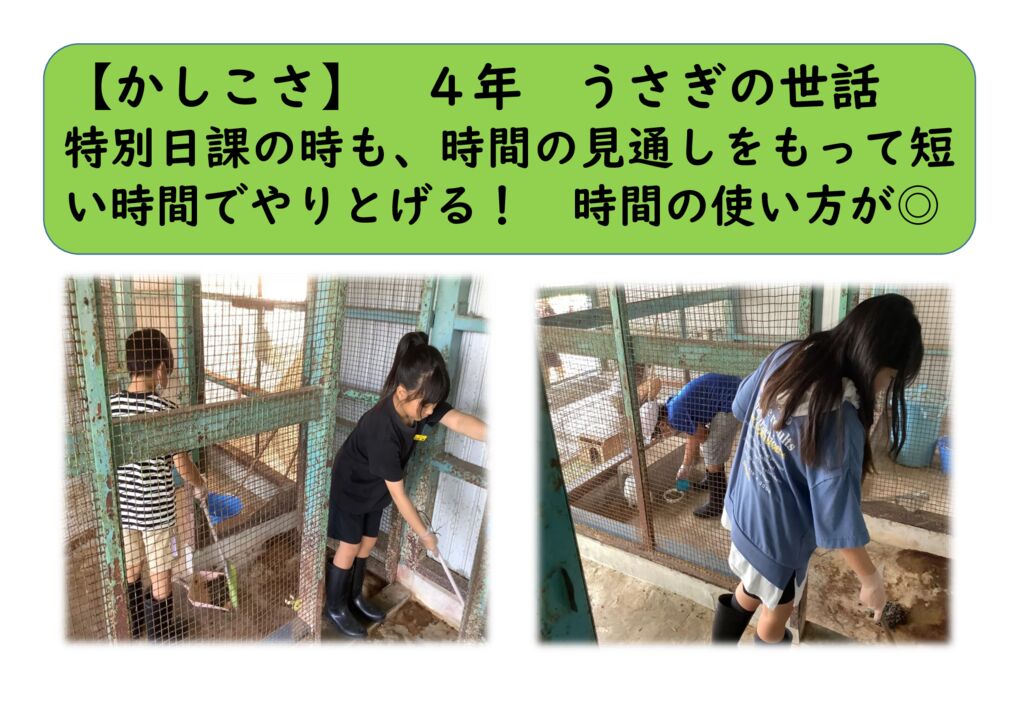 ９月４年７（かしこく）うさぎの世話のサムネイル