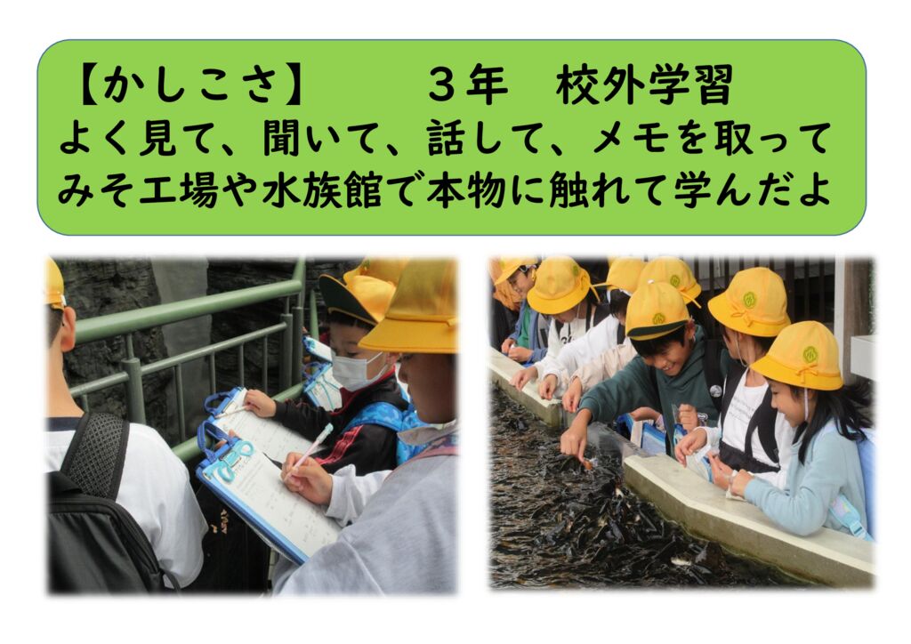 11月3年⑬（かしこさ）校外学習のサムネイル
