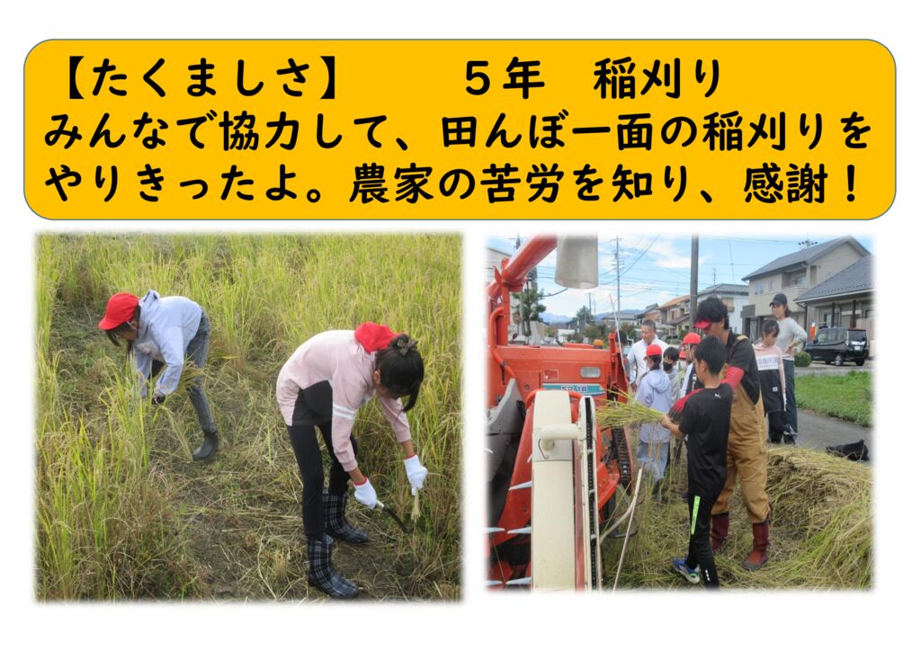 1１月５年⑯（たくましく）稲刈りのサムネイル